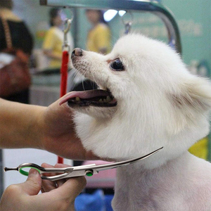 Tijeras de aseo para mascotas de acero inoxidable de Grado Profesional, tijeras plateadas curvas de alta calidad con reposapiés - Product Image 2