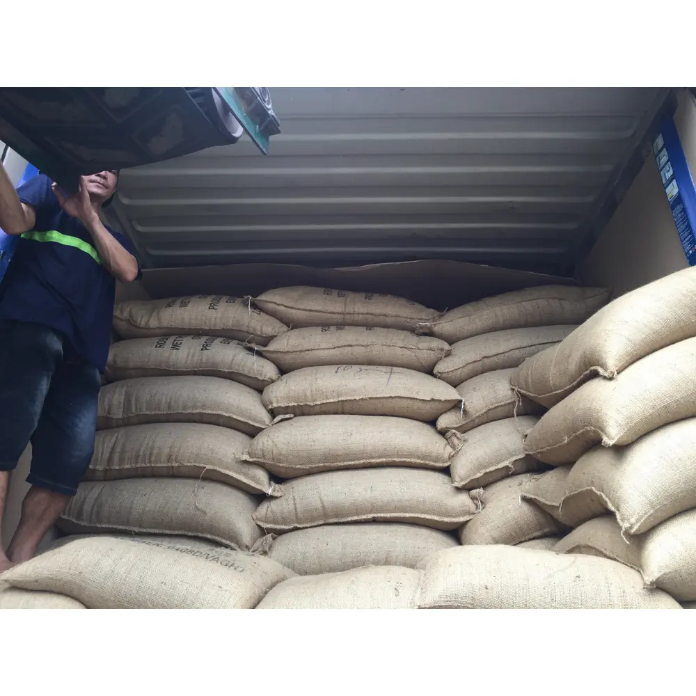 VIETNAM ROBUSTA COFFEE GREEN BEANS新しい作物卸売高品質良いソース低価格トップ工場HANFIMEX 0084374074818