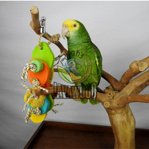 Juguetes masticables para pájaros hechos de madera sólida y sostenible para entrenamiento interactivo de aves de Indonesia - Product Image 5