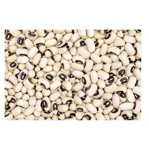 Frijoles de Ojos Negros premium disponibles para la venta a precios baratos, ideales para cocinar comidas saludables y recetas nutritivas - Product Image 2