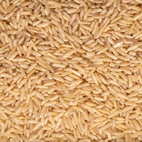Freshly Packed Organic Dried Long Grain White Rice Premium High Nutrition UK Origin 24 Months Shelf Life for Wholesale