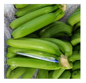 Banane Cavendish verte fraîche de qualité supérieure de haute qualité meilleur fruit populaire du Vietnam en gros - Product Image 6