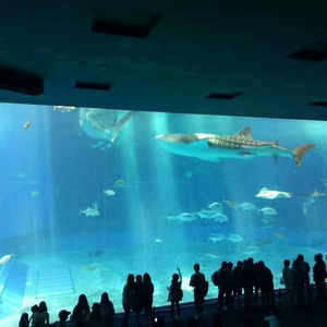 Structure de visualisation claire pour l'aménagement d'habitats aquatiques, grand aquarium en acrylique, production sur mesure, application pour récifs <span class=keywords><strong>marins</strong></span> - Product Image 3