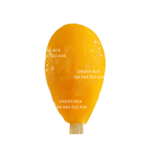 สั่งซื้อไอศกรีมมะม่วงขายส่งที่ทำจากมะม่วงจริงร้อยละ100 - Product Image 3