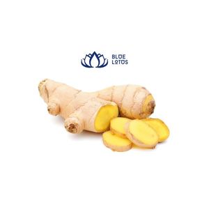 ส่งออกจากเวียดนามด้วยราคาที่ดีที่สุดสำหรับขิงสด - Product Image 5