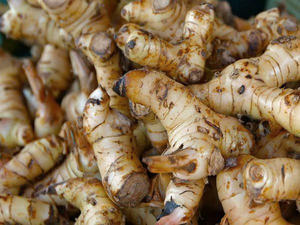 CALIDAD PREMIUM DE EXPORTACIÓN GALANGAL CONGELADO SUMINISTRO A GRANEL NATURAL ORGÁNICO OFERTA CALIENTE INGREDIENTE AL POR MAYOR SUMINISTRO TOP VENTAS - Product Image 5