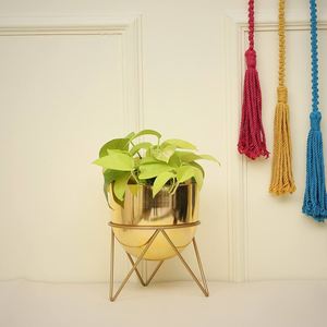 Handmade <b>Indoor</b> Decorative Pure Copper <b>Planter</b> With Tripod Stand For Ferns Palms And Monstera Plants At Wholesale Price - Product Image 5