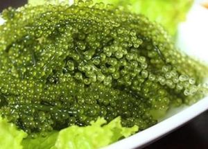 Algas de Mar de Vietnam Caulerpa Lentillifera, Sazonadas en Bolsa, para Ensaladas, Sushi, Uso en Restaurantes, Ingrediente de Alimentos Frescos - Product Image 6