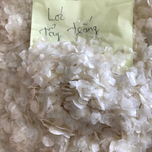 FORMA DE ESCALA DE PESCADO COMPETITIVA PROVEEDOR VIETNAMITA PARA EXPORTAR A GRANEL - Product Image 1