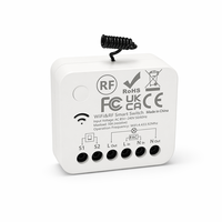 Module de relais intelligent WiFi RF433 AC85-240V avec télécommande sans fil et minuterie via application pour éclairage, ventilateurs et appareils électriques CE