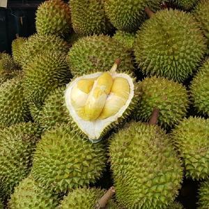 Organic Vietnam Frozen Fresh Durian Naturally Ripe and Soft Fruit Irradiated Vegetable and <b>Bean</b> Products Agriculture Type - Product Image 2