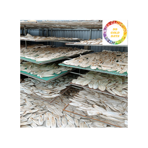 Cuttlebone 100% natural secado al sol para pájaros, proveedor de Vietnam, perfecto para tiendas de mascotas, granjas y compradores mayoristas - Product Image 3