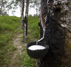 Látex de Caucho Natural 60% Líquido, Grado de Moldeo por Soplado, con Resistencia Antiestática y al Envejecimiento - Product Image 3