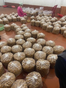เนื้อลำไยอบแห้งเกรดสูงเนื้อลำไยอบแห้งสีทองหวานเป็นธรรมชาติคุณภาพระดับพรีเมียม - Product Image 4