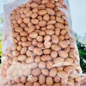 Arachides brutes naturelles de première qualité, cultivées sans OGM, pour la confiserie, destinées à la fabrication commerciale, en vente - Product Image 1