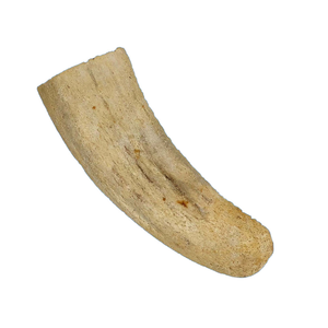 Núcleo de Cuerno de Búfalo Más Vendido para Masticar para Perros, Alimento Natural Redondeado de Calcio, Hueso de Golosina para Animales, Hecho en India por MULTI CRAFT - Product Image 4