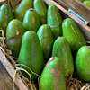 Aguacate Fresco Hass de Vietnam - Alta Calidad, 1 kg, Empacado en Caja, Marca Gimex Vietnam, Buen Precio, En Venta - Product Image 5