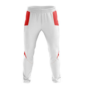 Uniforme élégant de cricket, vêtements d'équipe sur mesure, maillot et pantalon de sport élégants pour le match, l'entraînement et la pratique - Product Image 3
