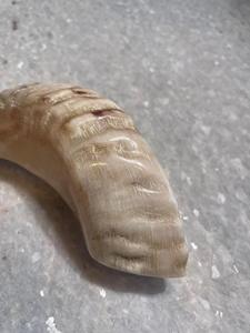 Cuerno de Shofar de Carnero Natural Pulido - Decoración Religiosa Ecológica para el Hogar de Alta Calidad - Product Image 5