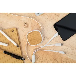 Rabsle Eco-Friendly USB <b>Charging</b> <b>Cable</b> for Eco-Conscious Gadgets Promotional USB Product - Product Image 3