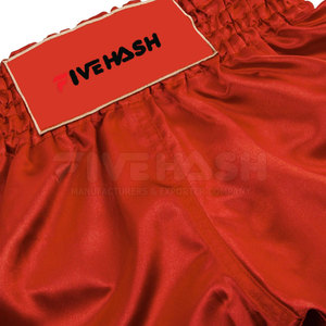 Hot Sale Custom Made Muay Thai Shorts Light Weight Breathable Men Muay Thai Shorts For Adult - Product Image 3