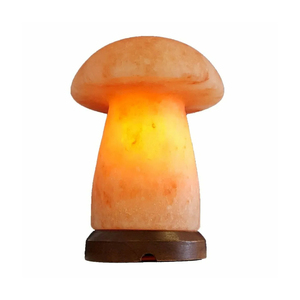 Vente en gros de lampe au sel de l'Himalaya USB en cristal de roche rose Décoration intérieure contemporaine en forme de mini champignon Toutes pièces électriques - Product Image 4