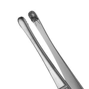 Pinces à tissus russes manuelles en acier inoxydable, instruments chirurgicaux vétérinaires de dissection et de préhension, certifiées CE classe I ISO13485 - Product Image 3