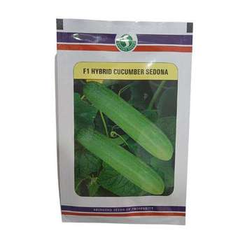Sungro Sedona Cucumber Seeds