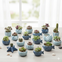 Prix de Gros Négociable Pot de Fleurs en Céramique Personnalisé, Vases et Jardinières en Forme d'Étoile de Mer, Vases à Succulentes en Céramique, Petits Pots de Fleurs