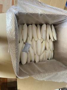 OEM que produce comida para mascotas Cuttlebone-La mejor opción para su pájaro con alta nutrición por 99GD - Caryln - Product Image 3