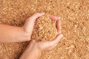 Polvo de sierra de álamo para ropa de cama de animales Polvo de sierra de caoba para proyectos prefabricados Polvo de sierra de haya para construcción - Product Image 5