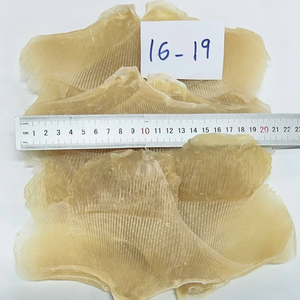 Auténtica aleta de raya natural vietnamita (Eihire) perfecta para restaurantes y minoristas - Product Image 6