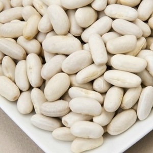 High Protein Dried Red Kidney Beans Premium Grade Non-GMO Vacuum Pack Bulk Wholesale NZ Origin Long Term Storage 25kg - Product Image 2