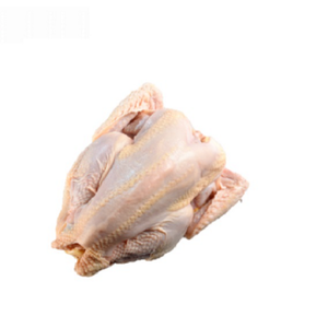 Pollo Entero Congelado / Patas de Pollo Halal / Patas de Pollo Congeladas Alitas de Pollo Congeladas Origen Brasil - Product Image 1