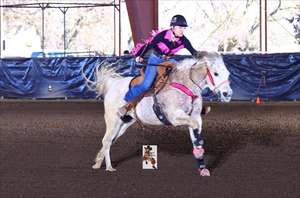 Ensemble de têtière et de poitrail de cheval de qualité supérieure |   Équipement d'équitation durable, confortable et élégant pour l'équitation et l'entraînement au meilleur prix - Product Image 6