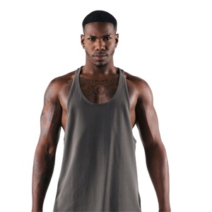 Camiseta sin mangas para hombre, chaleco de entrenamiento para gimnasio, fitness, transpirable, para culturismo, correr, deportes, informal y para verano. - Product Image 1