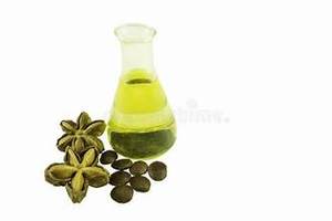 ACEITE PREMIUM SACHA INCHI PRENSADO EN FRÍO SALUD INMUNE FORMULA DE PLANTAS LIMPIAS - Product Image 2