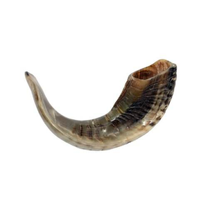Cuerno de carnero natural Shofar Oferta emocionante Rosh Agate Hashanah Yemenite Kudu Horn Ram Horn Shofar - Product Image 5