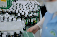 Jus de noni de qualité supérieure et mélanges aromatiques exportation directe d'usine