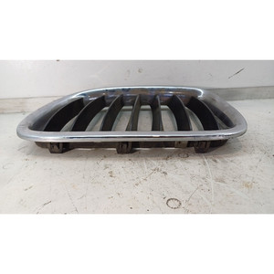 Rejilla Decorativa Izquierda para BMW Serie X1 (E84) 51112993305 N47D20C (09>15) - Product Image 3