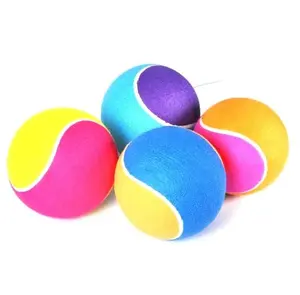 Fabrik Großhandel benutzer definierte Logo gedruckt spezielle Haustier Tennisball Haustier Spielzeug benutzer definierte Logo mehrfarbige Tennisball