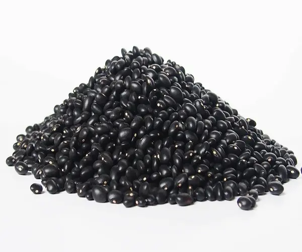 Black Kidney Beans / Black Beans Best Price,Black Kidney Beans / Black Beans Wholesale