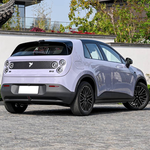 Voiture électrique compacte 5 places 2025, dernière édition d'avril, véhicule à énergie nouvelle pour l'Amérique du Nord - Product Image 6