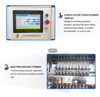Machine d'emballage verticale automatique CE pour poudre, remplissage précis 0,5g 1g, pour sachets de snus humide et petits sachets de snus en papier