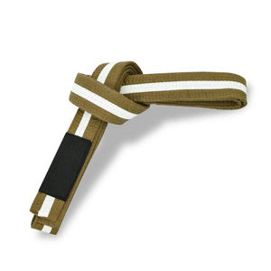 Equipo de artes marciales cintura ajustable BJJ Ge ropa de entrenamiento cinturones de cintura logotipo personalizado bordado Judo Karate cinturón Unisex - Product Image 1