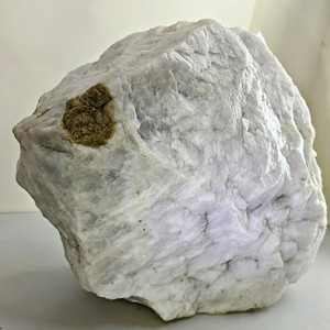 Mineral Osmanthus - Product Image 5