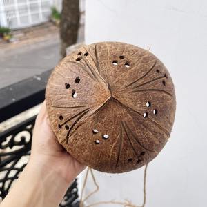 Maceta colgante de cáscara de coco para plantas, macetas de bonsái para jardín al aire libre, original, nuevo diseño barato - Product Image 4