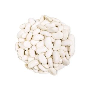 Frijoles Blancos Secos Naturales, 100% Proteína Natural Pura, Paquete a Granel, Nueva Cosecha - Product Image 2