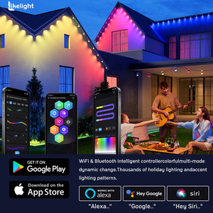 Lampu Natal Permanen LED SMD5054 RGB WS2811 DC36V IP68 35*30mm Kecerahan Tinggi untuk Luar Ruangan, Grosir OEM ODM - Product Image 4