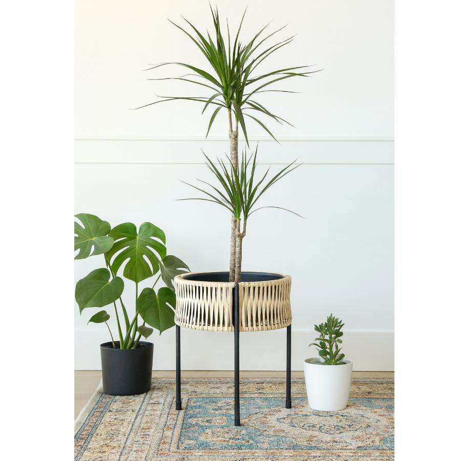 กำหนดเอง